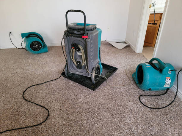 Best 24-hour water damage restoration  in Fairmont, NC