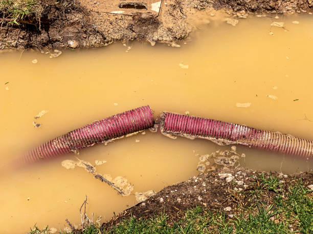 Best Water damage cleanup near me  in Fairmont, NC